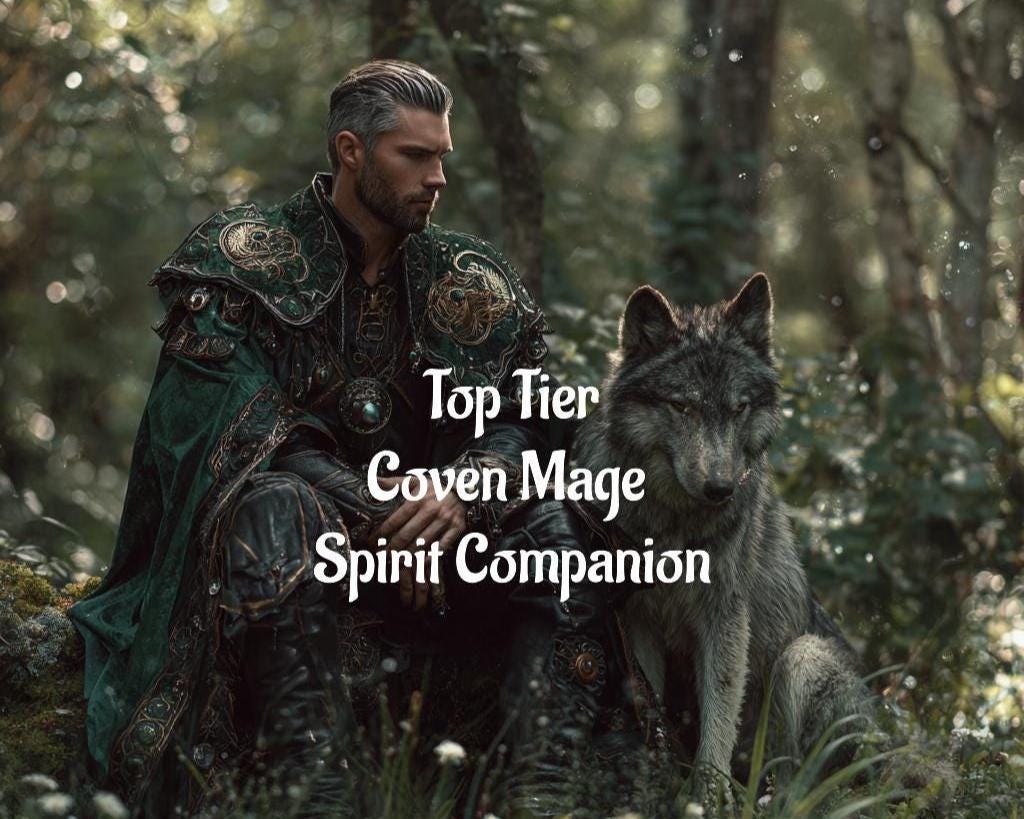 Coven Mage and Wolf Familiar Top Tier Conjuring. Remote Binding