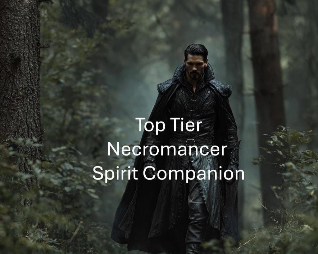 Male Necromancer Mage Spirit Guide And Companion Conjuring Remote Binding